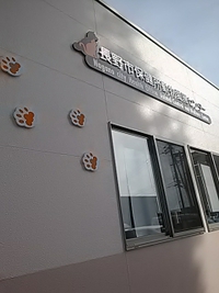 時々畑で見かけた野良猫／避妊手術後目撃されました。