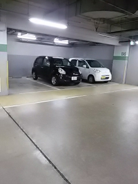 トナラー／東口駐車場に現れる／２１年８月２７日午後７時半頃