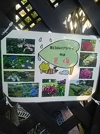 篠ノ井中央公園に茶臼山自然植物園の案内／７月１８日午前６時頃
