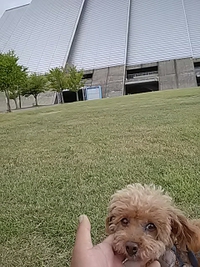 愛犬とエムウェーブを散歩／２１年８月９日午前６時半頃