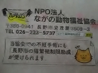 畑に時々出没した猫／保護され避妊手術後外猫に…９月２０日