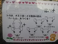 動物の恋バナ／須坂市動物園／バレンタインＺＯＯ／２１年２月１３日