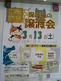 ３月１３日土曜日／篠ノ井で猫の譲渡会開催