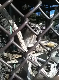 敬老の日の須坂市動物園／その１／２１年９月２０日