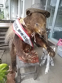 戸隠地質化石博物館／２１年８月１６日