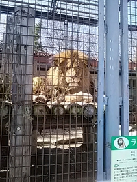 ２１年３月１４日の茶臼山動物園