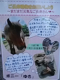 祝３４歳／ポニーのゆき／長寿動物を祝おう／須坂市動物園
