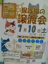 ７月１０日／篠ノ井で保護猫の譲渡会開催