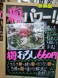 梅おろし蕎麦／真田丸／長野ターミナル会館内／２１年８月１６日