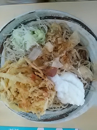 おろし蕎麦Ｂタイプ／真田丸／長野ターミナル会館／２１年８月１６日