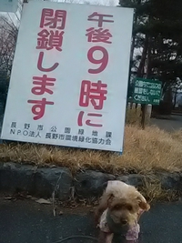 愛犬と川中島古戦場を散歩／２１年３月１２日午後５時半頃