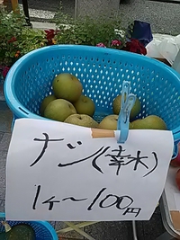 須坂市産の梨／ごん堂賑わいマルシェ／８月２１日