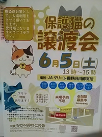 ６月５日／篠ノ井で保護猫の譲渡会開催／ながの鈴ねこの会主催
