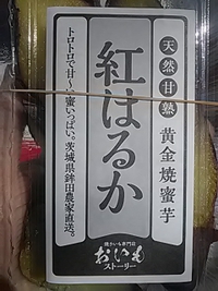 紅はるか／とんちんかん／茶臼山動物園売店／２１年３月１４日