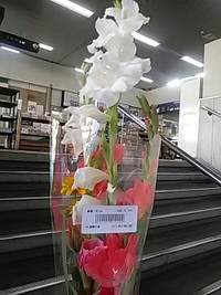 須坂創成高校生が栽培した花／長野電鉄須坂駅売店／２１年７月１７日