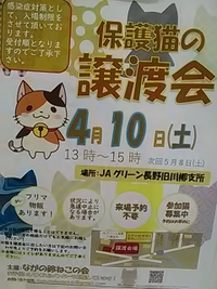 今日４月１０日／篠ノ井で保護猫の譲渡会開催／ながの鈴ねこの会主催