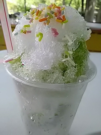 抹茶のかき氷他／とんちんかん／茶臼山動物園／２１年８月２２日