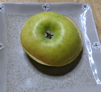 リンゴの続き〜