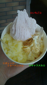 ぱんまん家の上田コース♪