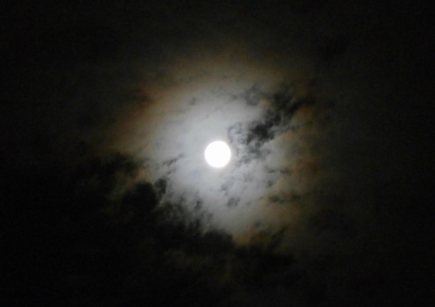 満月の夜に解放