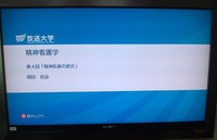 テレビだけどラジオ