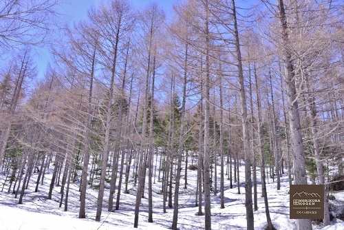 20170418斜面の雪S