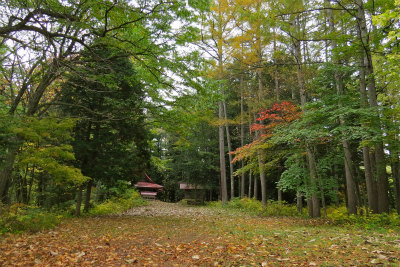 しっとり紅葉