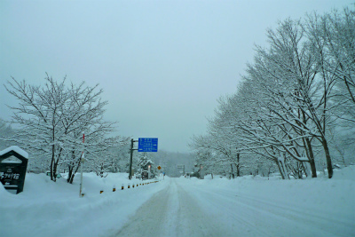 今日も雪景色を満喫〜