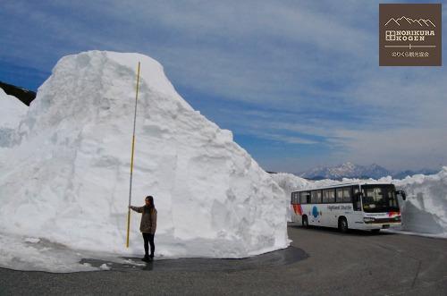 乗鞍岳春山バス、明日から大雪渓肩ノ小屋口まで！