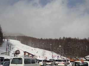 今年もよろしくお願いいたします。