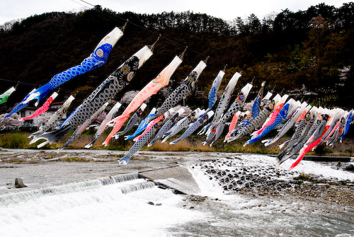 満開の中で (Nikon D200)