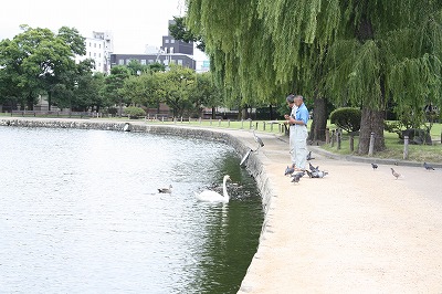 松本城写真館