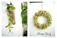 Living Treeです