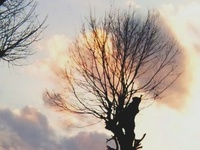 夕焼け雲☆