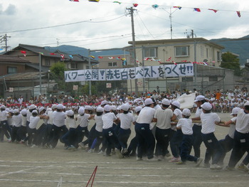 運動会