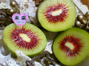 クリスマスのフルーツは・・・♪