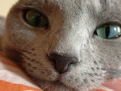 どーん