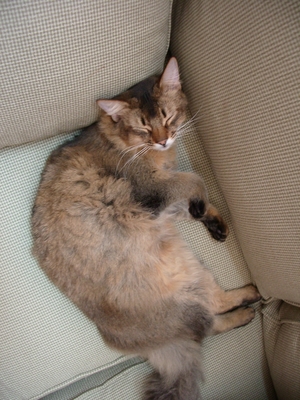 うらめし～や
