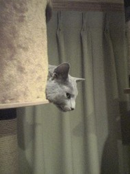 ぐ～っ