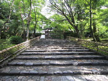 大阪　夏の陣①　京都・龍安寺