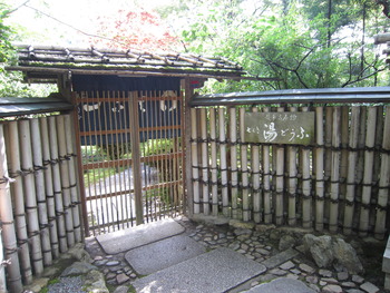 大阪　夏の陣①　京都・龍安寺