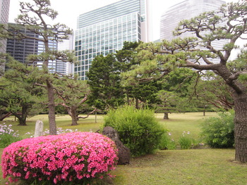 音旅⑤　東京都立浜離宮恩賜庭園