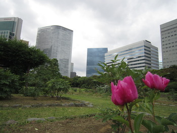 音旅⑥　東京都立浜離宮恩賜庭園