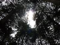 たてべおはなし会１　山形村朗読講座修了会