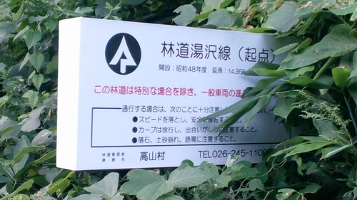 気になる週末