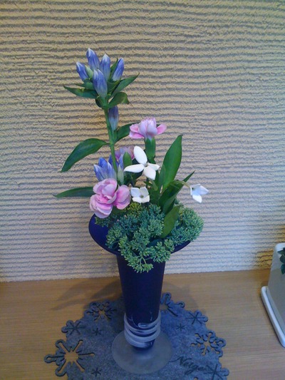 自宅の花