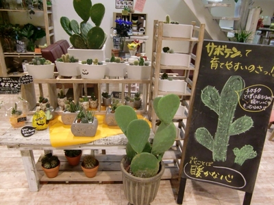 南バイパス店