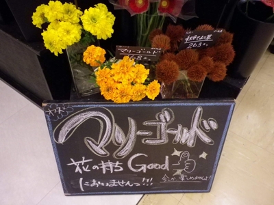 安茂里店