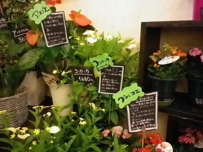 安茂里店