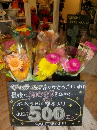 南バイパス店「ガーベラフェア」